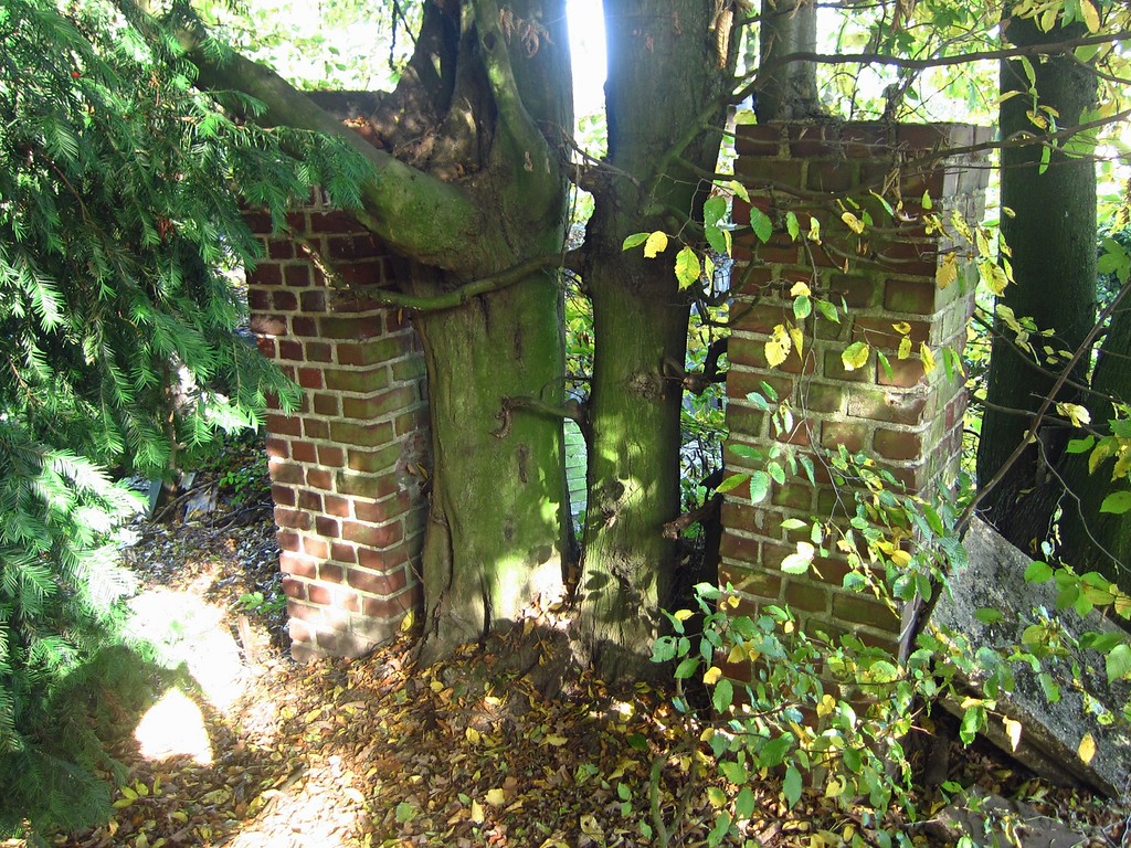Durch Bäume zugewachsener früherer Eingang zum Jüdischen Friedhof im Heidweg in Viersen-Süchteln (2013).