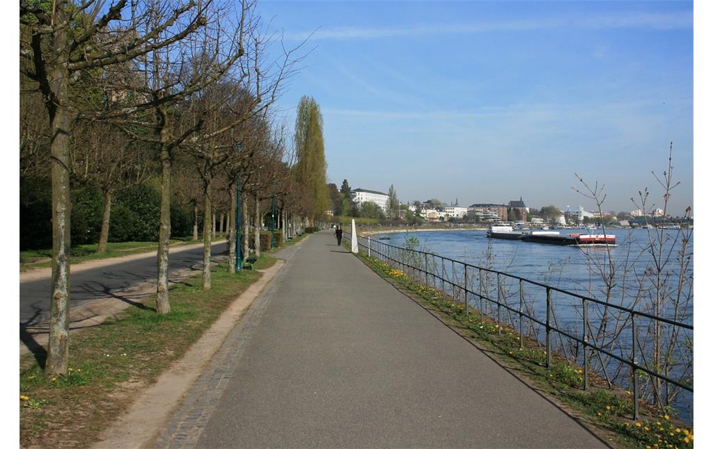 Wilhelm-Spiritus-Ufer in Bonn, Blick in Richtung Norden (2015)