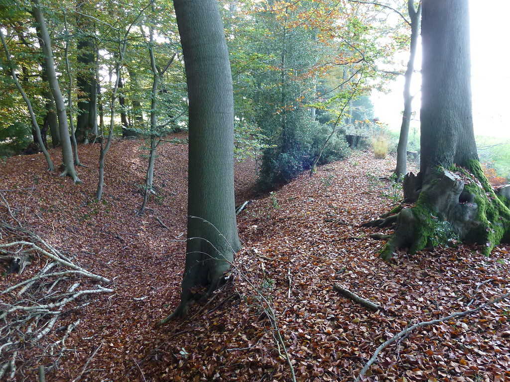 Weseler Landwehr südöstlich des Dämmerwaldes (2012); zu erkennen sind zwei Wälle und Gräben.