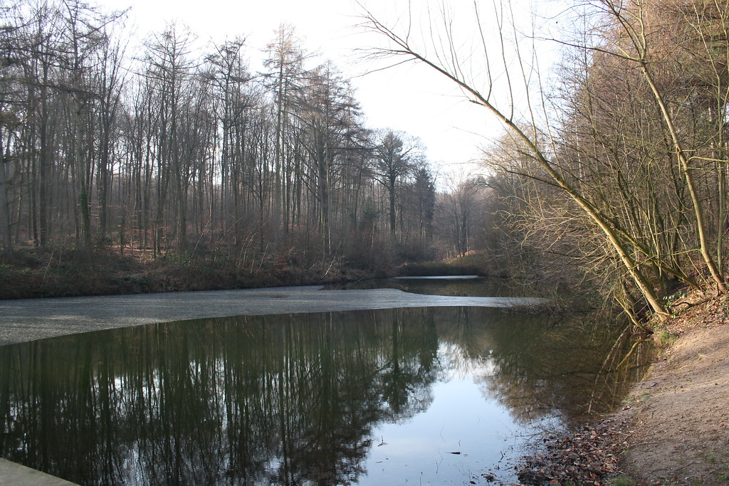 Mit Eis überzogene Wasserfläche des Stauteichs am Tüschenwald am ehemaligen Forsthaus Hasenacker in Sonsbeck-Labbeck (2014).