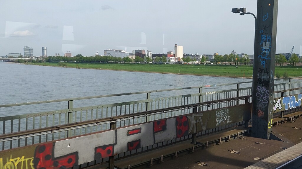 Fahrt über den Rhein über die Südbrücke mit Blick auf den nördlichen Uferbereich der Poller Köpfe bzw. Poller Wiesen südlich von Köln-Deutz (2024).