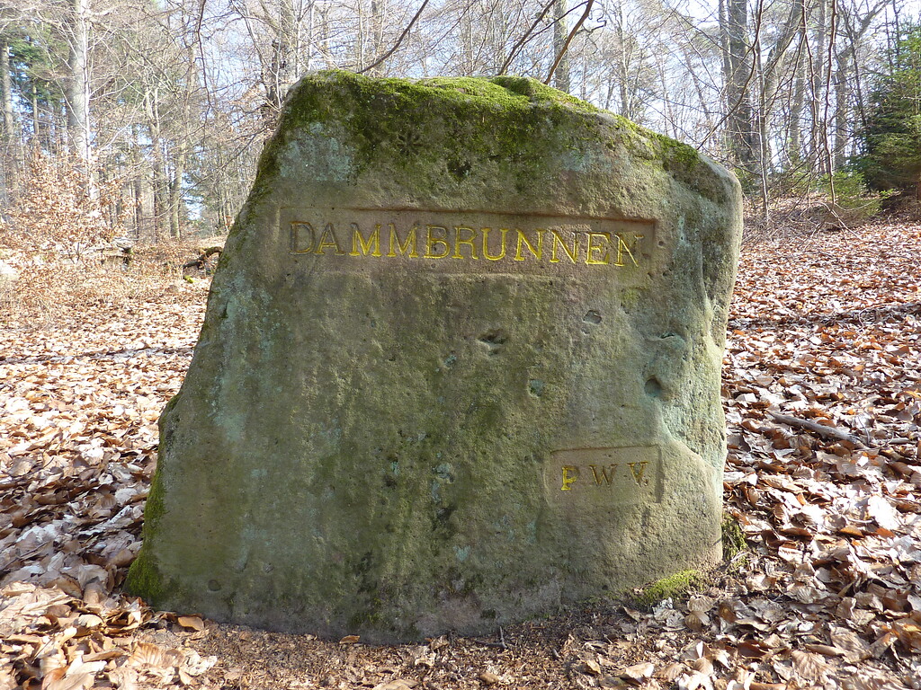 Ritterstein Nr. 146 Dammbrunnen nordwestlich von Waldleiningen (2014)