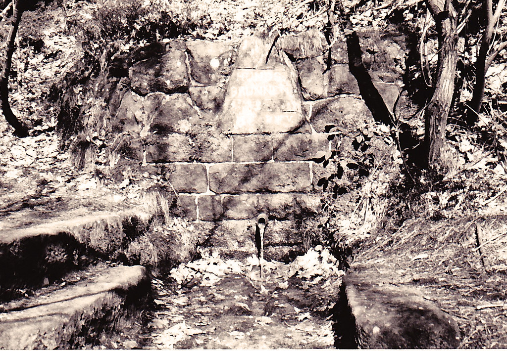 Ritterstein Nr. 166 "Hundsbrunnen" bei Hochspeyer (1993)