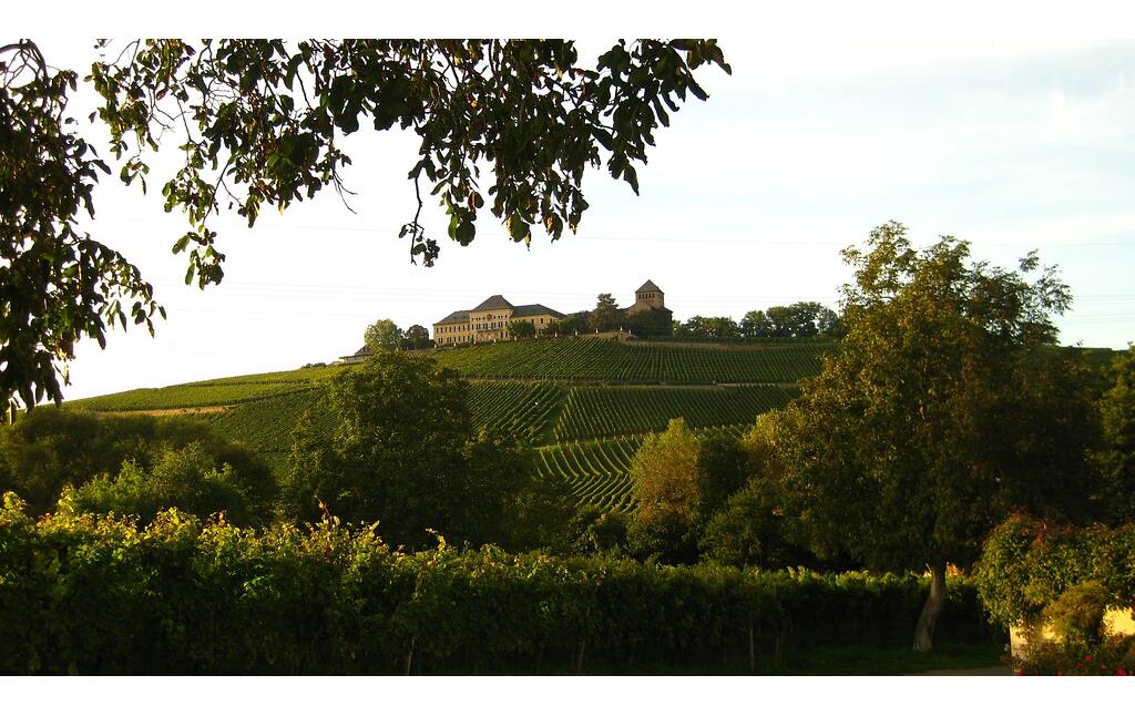 Weinlage Schloss Johannisberg aus südöstlicher Richtung fotografiert (2010).