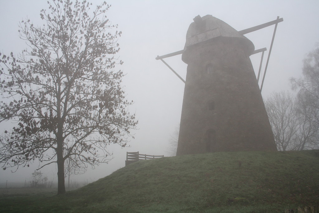 Der Mühlenturm von schräg unten im winterlichen Nebel (2013), links daneben steht eine noch teilweise belaubte Esche.