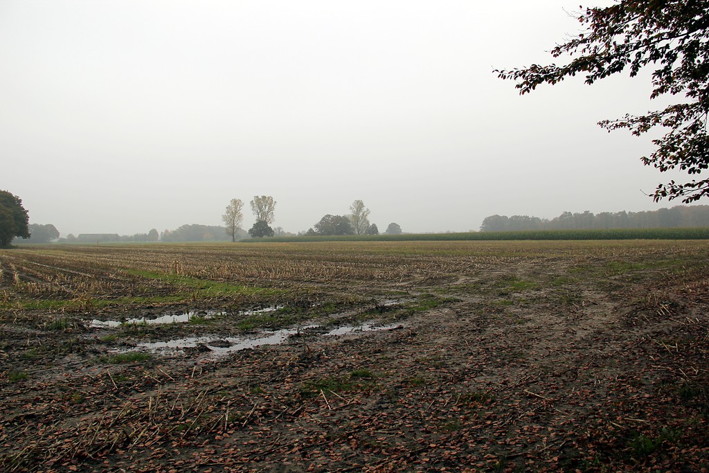 Eine abgeerntete Ackerfläche in Uedem-Uedemerbruch (2012).