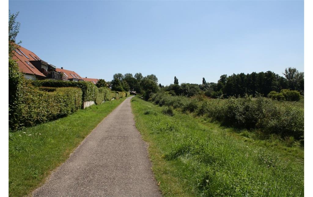 Siedlungsrand, der direkt an das Naturschtuzgebiet "Weseler Aue" angrenzt. Zu sehen ist ein schmaler Radweg, der die Stadtteile Feldmark und Flüren verbindet (2012).