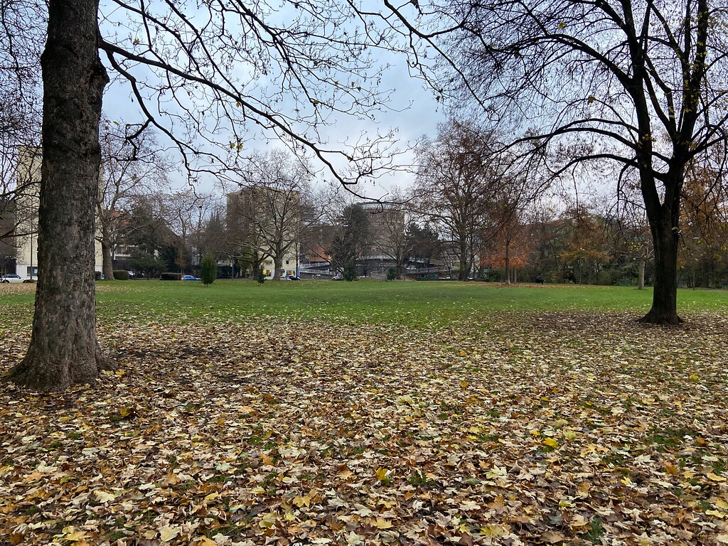 Der Pantaleonspark in Köln Altstadt-Süd (2021)