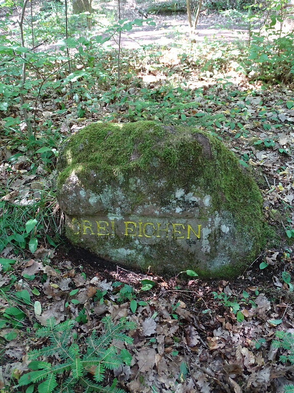 Ritterstein Nr. 21 Drei Eichen südwestlich von Böllenborn (2020)