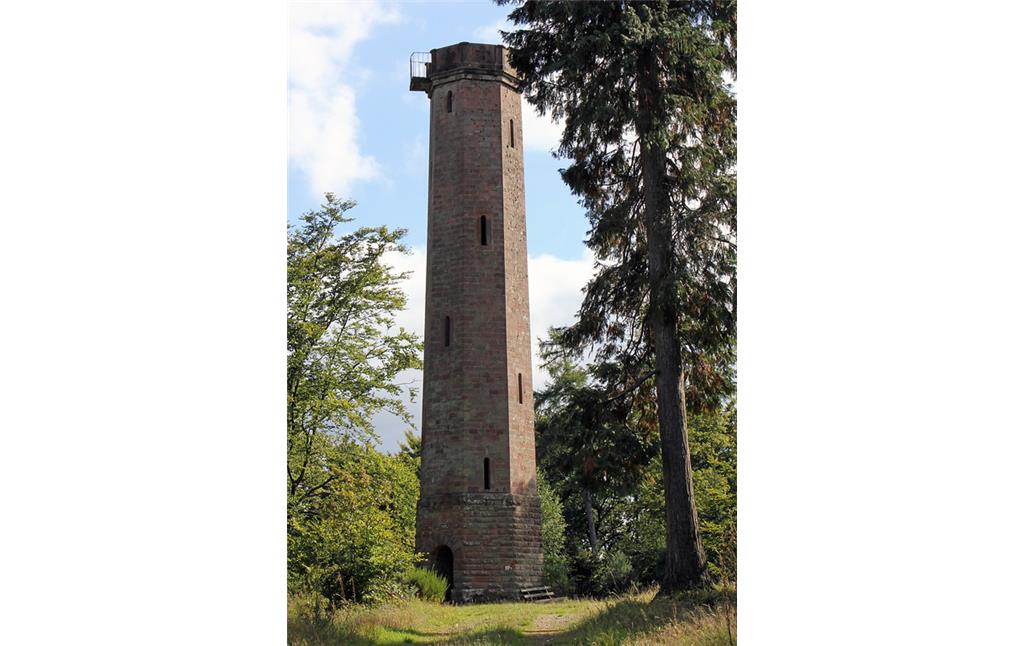 Blick auf den Eschkopfturm auf dem Eschkopf im Pfälzerwald (2010).