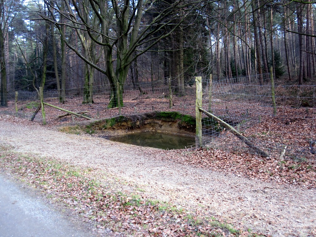 Waldrand am Treppkesweg im Reichswald (2012)