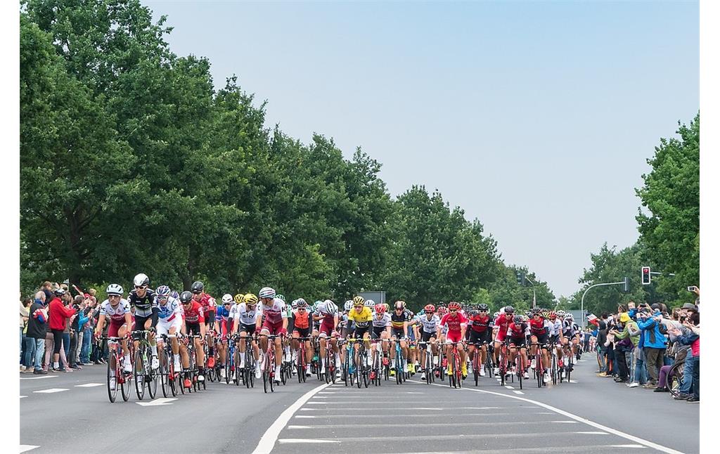 Das Hauptfeld der Tour de France am 2. Juli 2017 auf der Landstraße L 381 bei Kaarst-Büttgen.