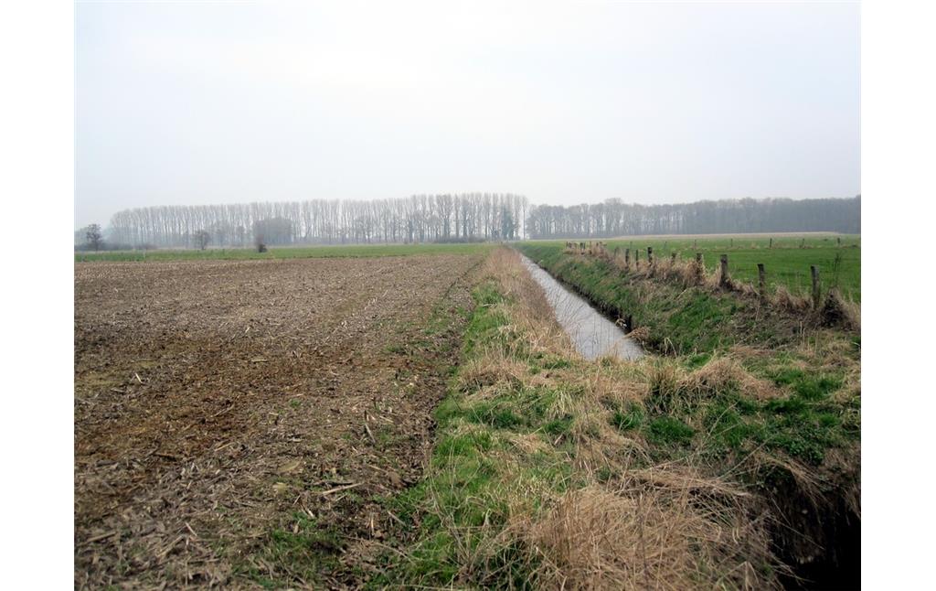 Entwässerungsgraben "Mittelley" im Uedemerbruch (2011)