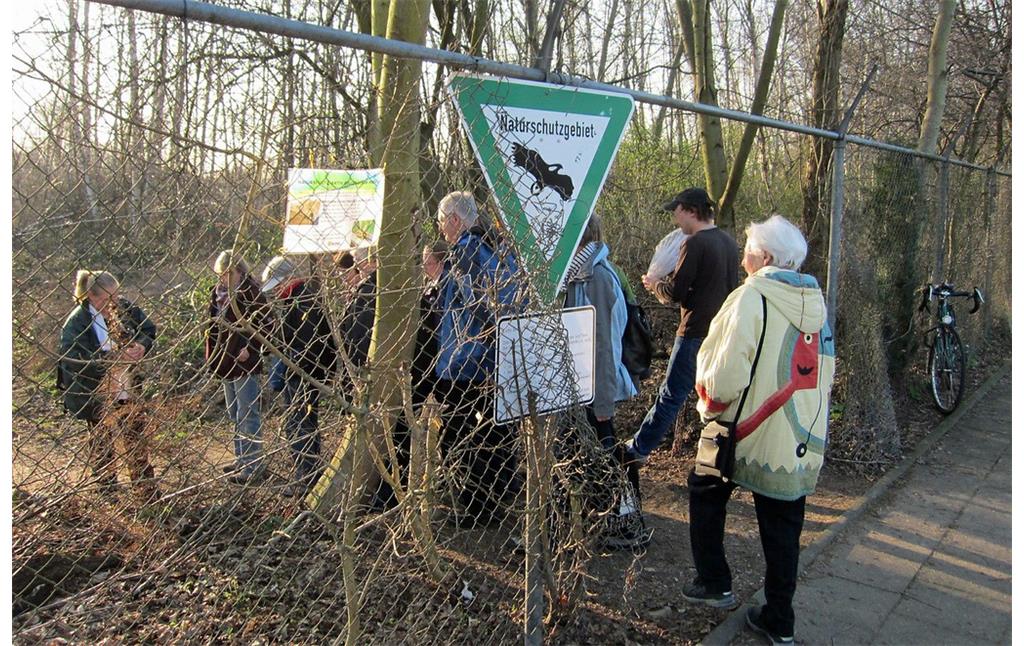 Eine Besuchergruppe im Naturschutzgebiet Dellbrücker Heide, Eingang im Lupinenweg (2012).