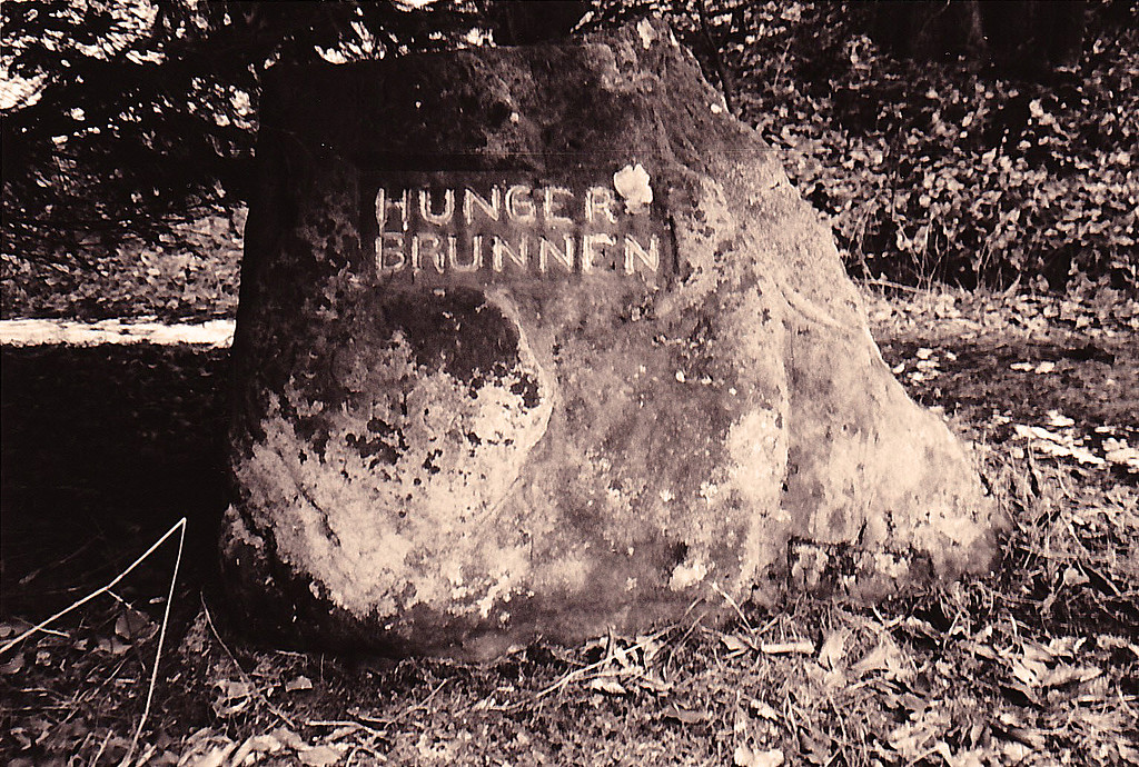 Ritterstein Nr. 153 "Hungerbrunnen" bei Kaiserslautern (1993)