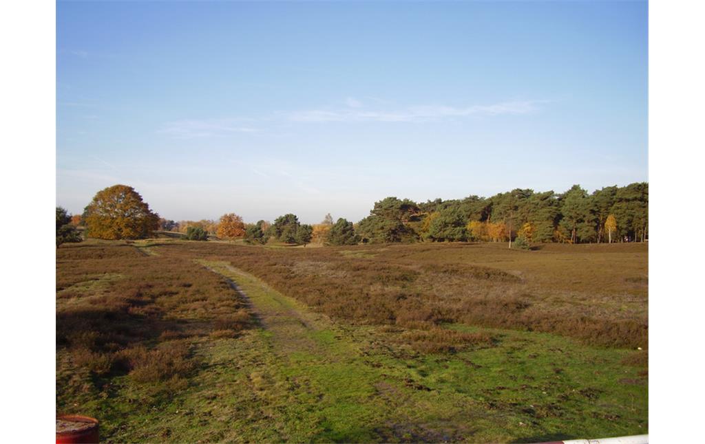 Die Westruper Heide bei Haltern, Kreis Recklinghausen