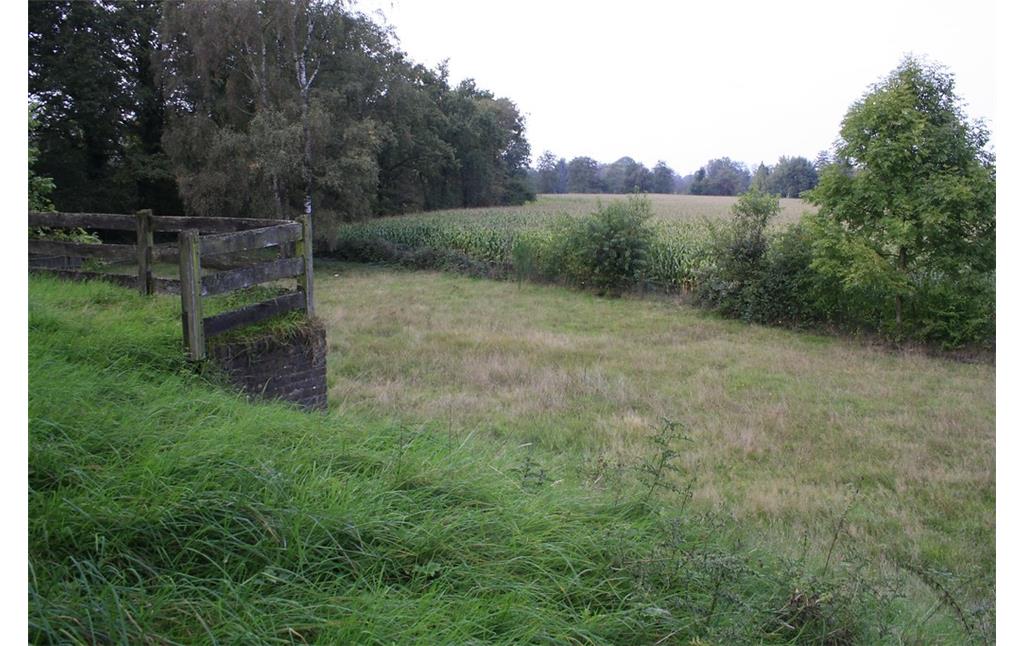 Blick vom Mühlberg über das Grundstück (2014); ein Stückchen Grasland, das mit hellen ausgeblühten Halmen überzogen ist, zwischen dem sattgrünen Mühlberg im Vorder- und einem Maisacker im Hintergrund.