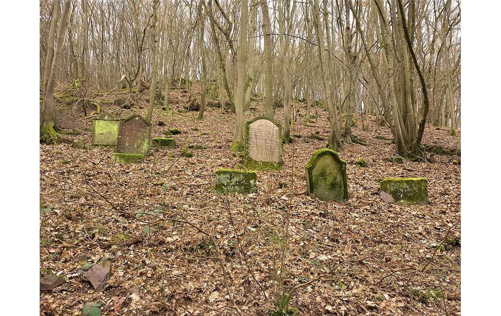 Grabsteine des älteren Judenfriedhofs "an der Knippwiese" in Cochem an der Mosel (2014).