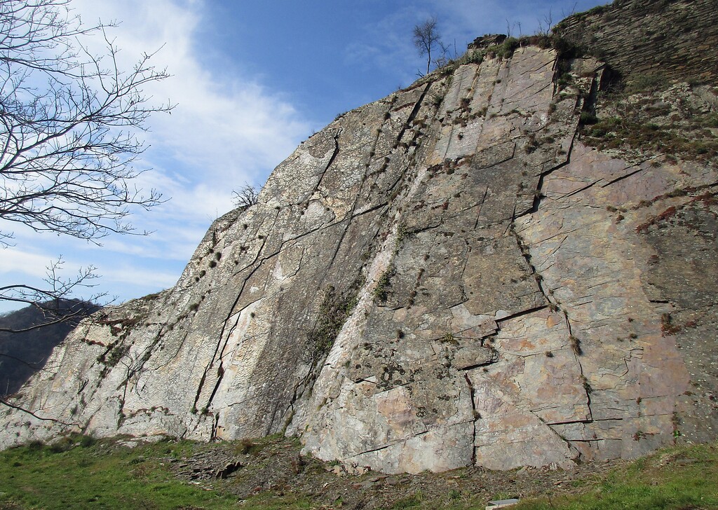 Blick auf scheinbar nahtlos in den Felsen übergehende Grundmauern der Burgruine Saffenburg bei Mayschoß (2021).