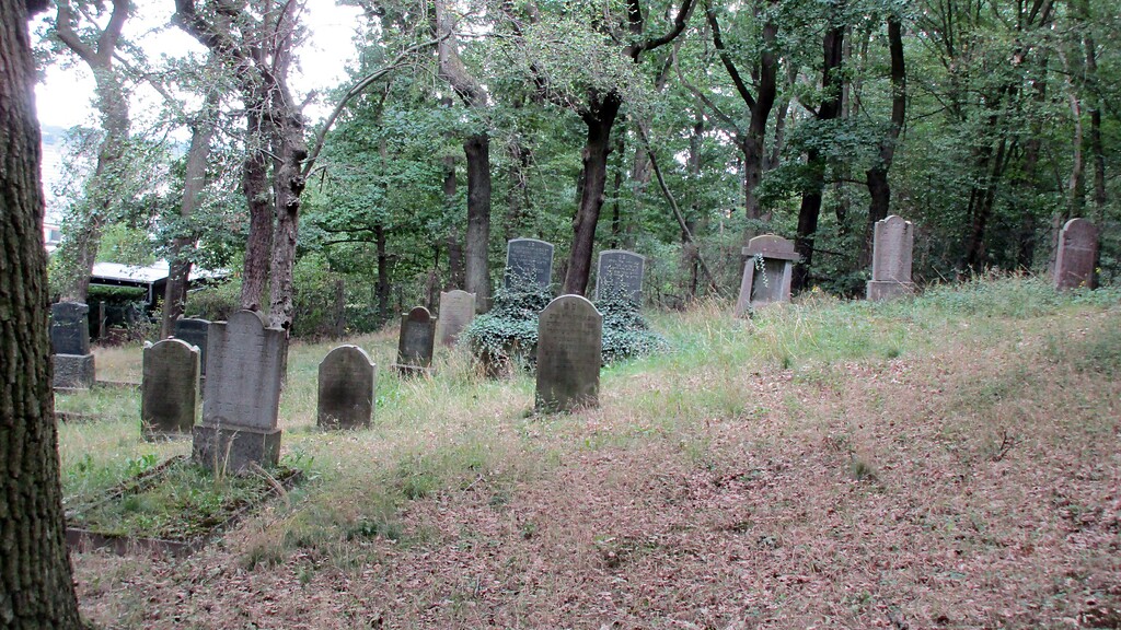 Jüdischer Friedhof Mechernich, Blick über das Gräberfeld aus östlicher Richtung (2020).