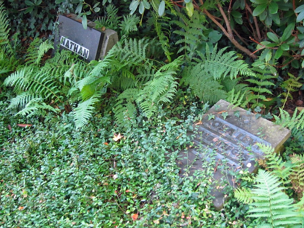Zwei Grabsteine auf dem Jüdischen Friedhof auf dem Viersener Kommunalfriedhof (2013).