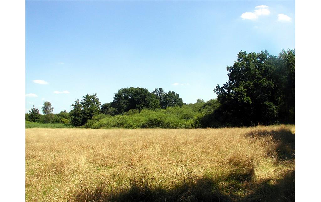 Blick in das Naturschutzgebiet Southerberg (2008)