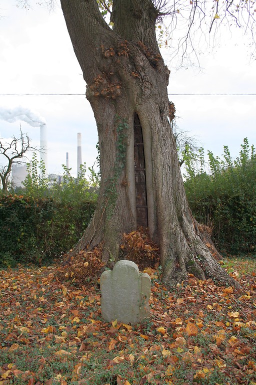 Schürfrinne im Stamm der Gerichtslinde an der Straße Unterer Hilding in Götterswickerhamm (2014). An der Linde steht ein alter Grabstein.