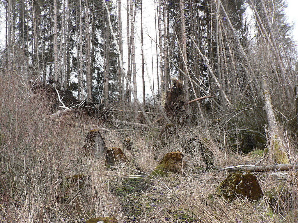 Panzersperre im Naturschutzgebiet "Kranzbach" bei Simmerath