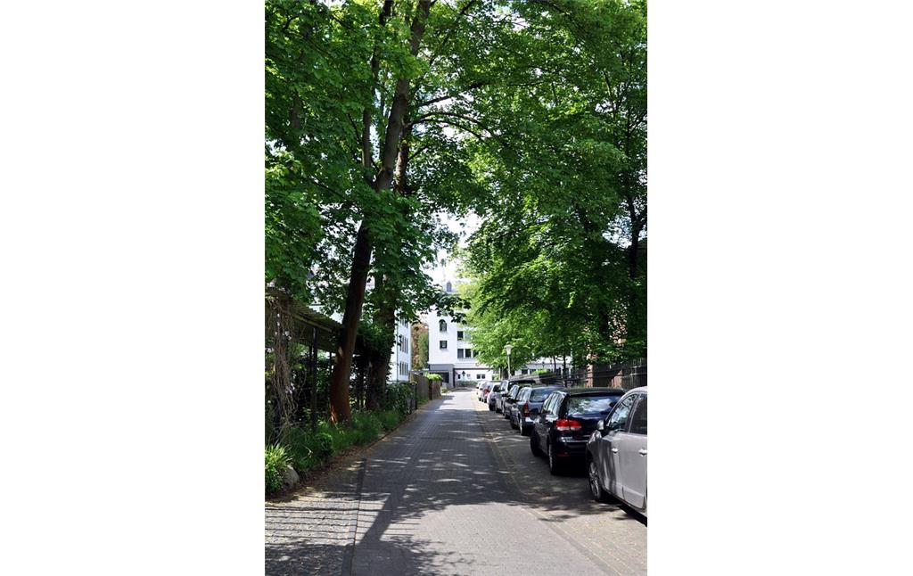 Blick in die Raiffeisenstraße in Bonn in Richtung Adenauerallee (2016)