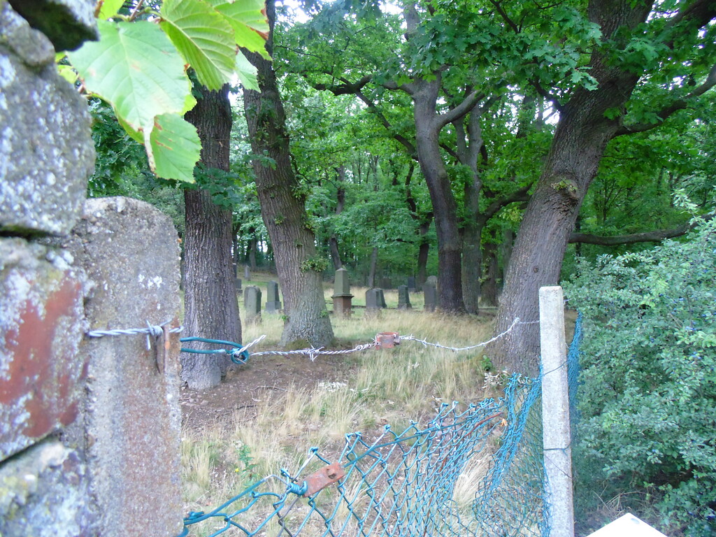 Blick auf den eingezäunten jüdischen Friedhof Mechernich (2020).