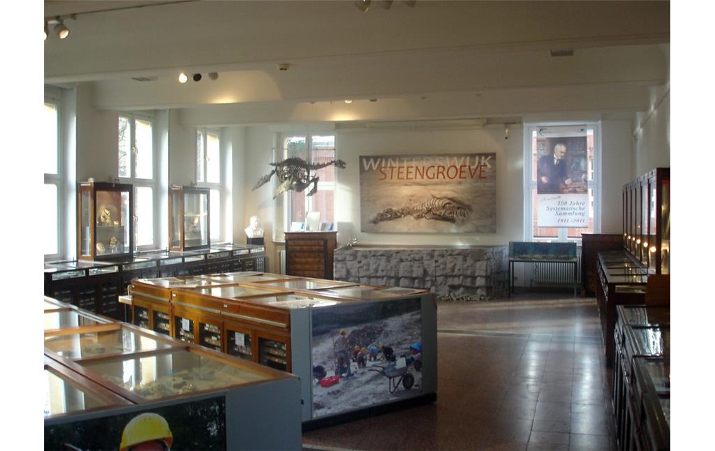 Goldfuß Museum im Geologischen Institut (2012)