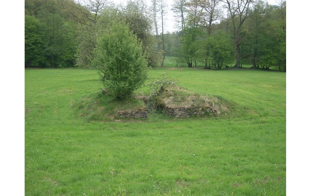 Relikte der Motte Ravenstein in Hennef (Sieg) (2010)