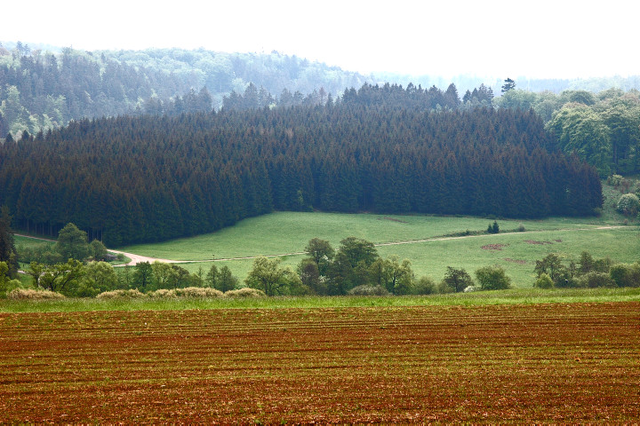 Die Nordeifel bei Nettersheim: Der Wechsel von Laub- und Nadelwäldern sowie Wiesen in den Bachtälern ist typisch für die Landschaft (2006).