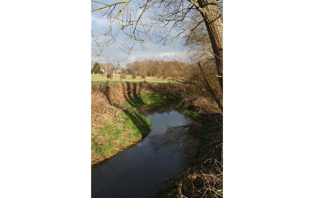 Der Leygraben im Naturschutzgebiet "Weseler Aue", der ungefähr drei Meter breit ist und viel Wasser führt. In einer leichten Kurve führt er an einer Wiese vorbei.