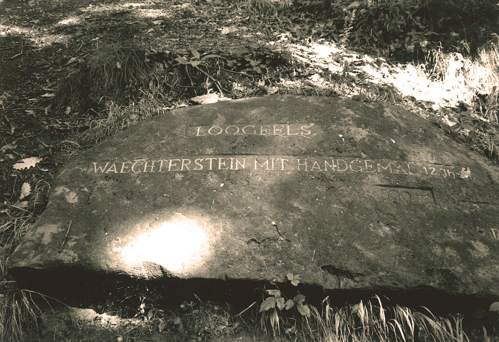 Ritterstein Nr. 297 "Loogfelsen Waechterstein mit Handgemal 12. Jhrdt. 300 m" nördlich von Waldhambach (1993)