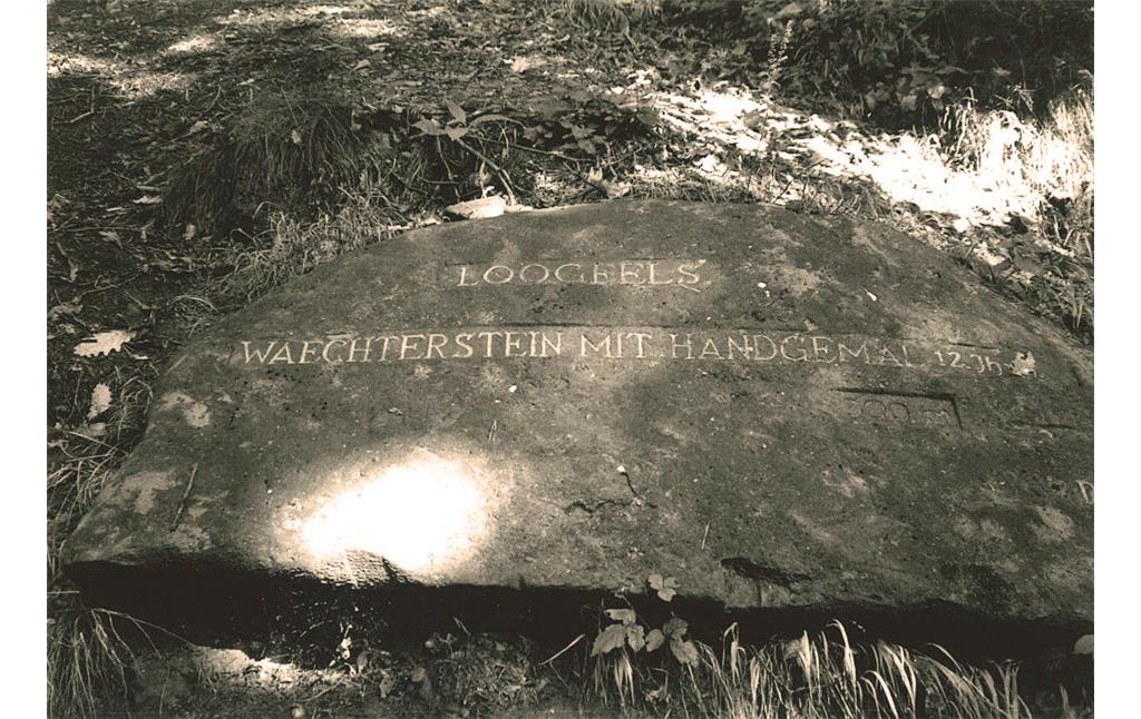 Ritterstein Nr. 297 "Loogfelsen Waechterstein mit Handgemal 12. Jhrdt. 300 m" nördlich von Waldhambach (1993)