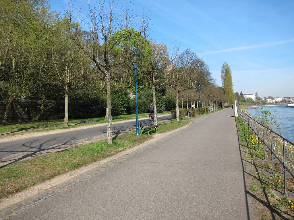Wilhelm-Spiritus-Ufer (Rheinuferpromenade) in Bonn mit Blick nach Norden (2015).