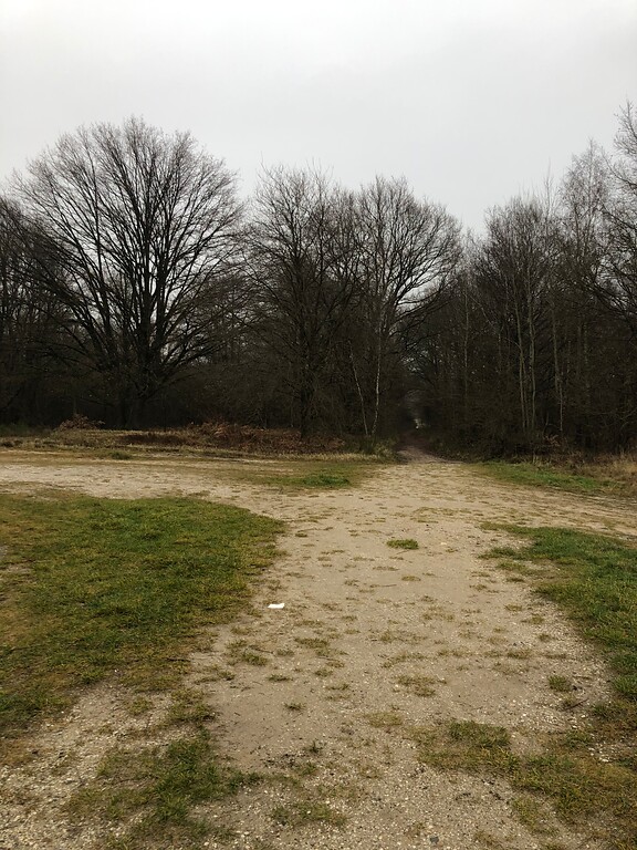 Naturschutzgebiet Wahner Heide (2021)