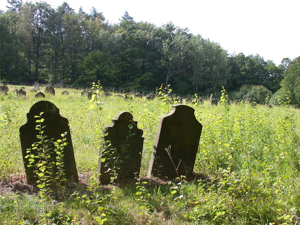 Judenfriedhof in Binsförth, Gemeinde Morschen (2009)