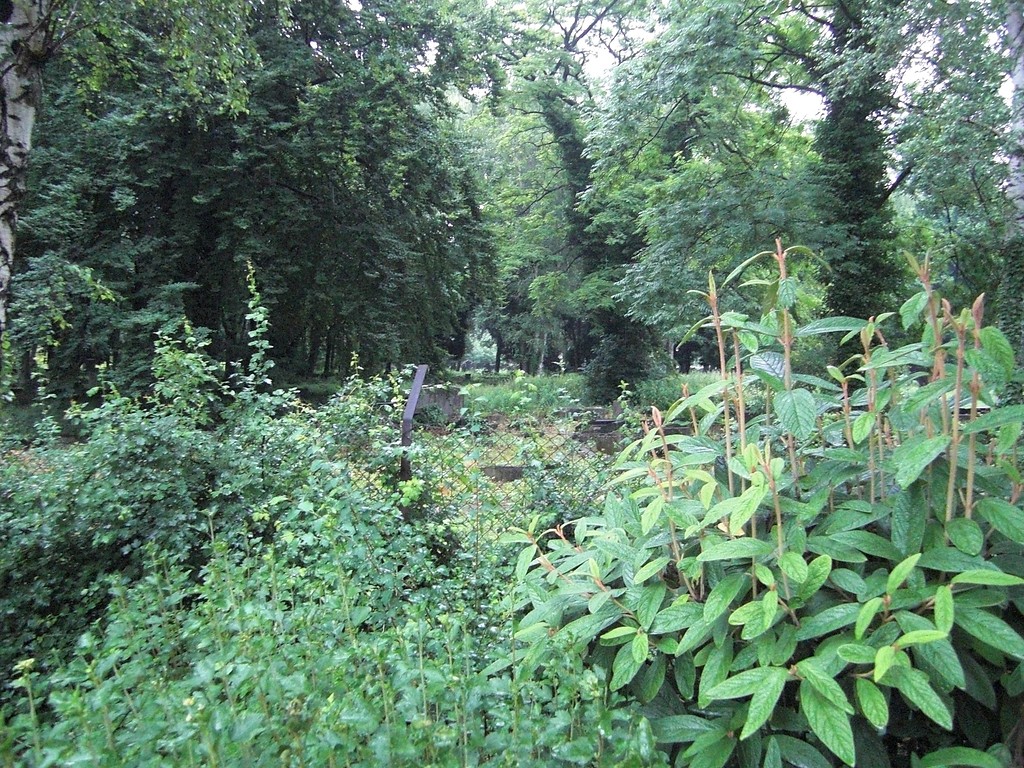 Blick auf den jüdischen Friedhof in Köln-Deutz (2013).