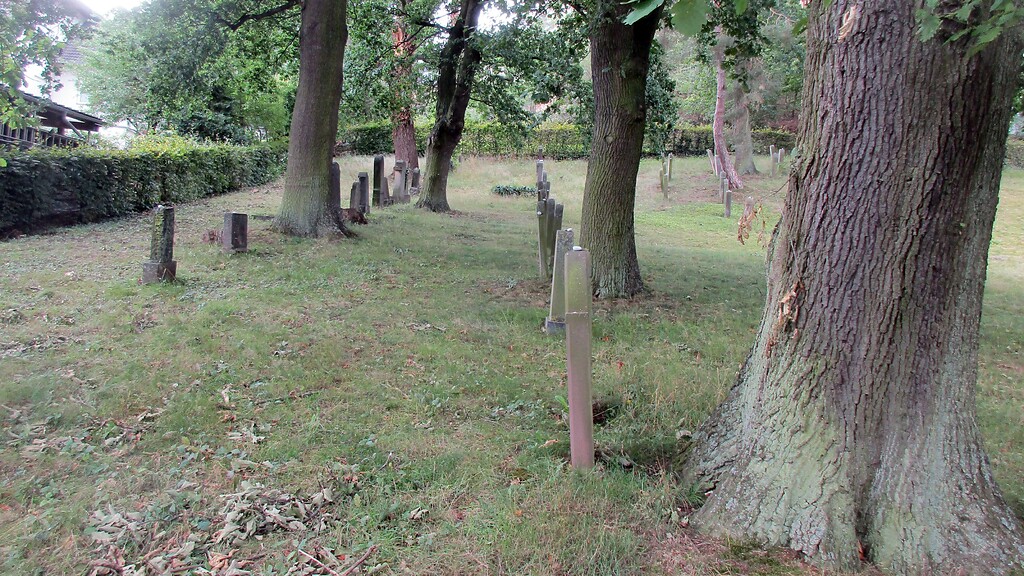 Blick über die östlich gelegenen Gräberreihen des jüdischen Friedhofs Kommern (2020).