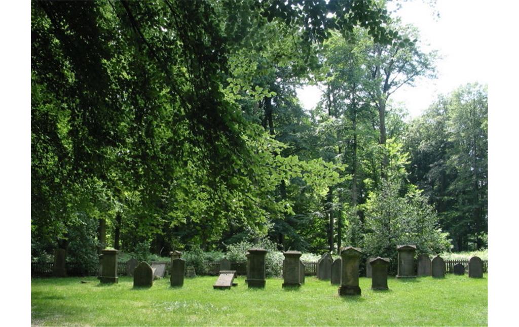 Jüdischer Friedhof am Blomericher Weg in Ratingen, Gesamtansicht des Gräberfeldes (2009).