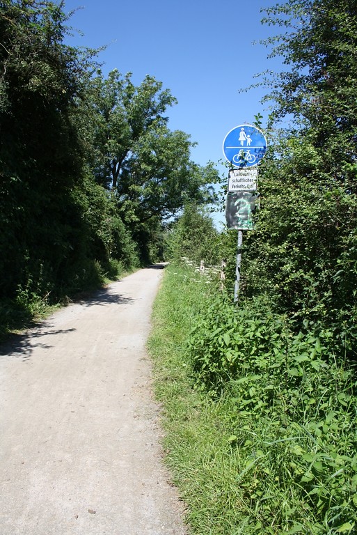 Der ausgewiesene Radwanderweg, der um den Auesee und durch das Naturschutzgebiet "Weseler Aue" führt (2012).