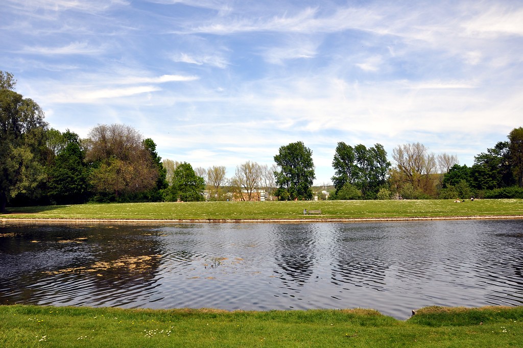 Wasserfläche im Bonner Rheinauenpark (2015)