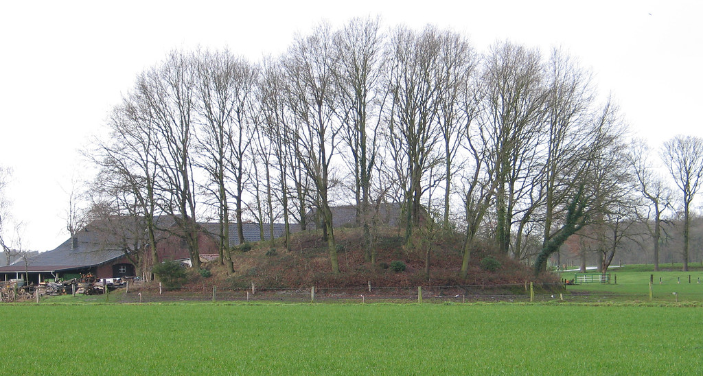Wiese, auf der die Motte am Kamphaushof als deutliche Erhöhung zu erkennen ist. Die Motte ist mit hohen Bäumen und Sträuchern bewachsen, im Hintergrund ist ein Hof zu erkennen (2007).