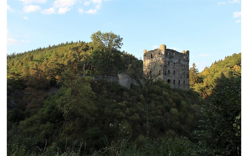 Blick aus südwestlicher Richtung auf die Burgruine Balduinseck (2018).
