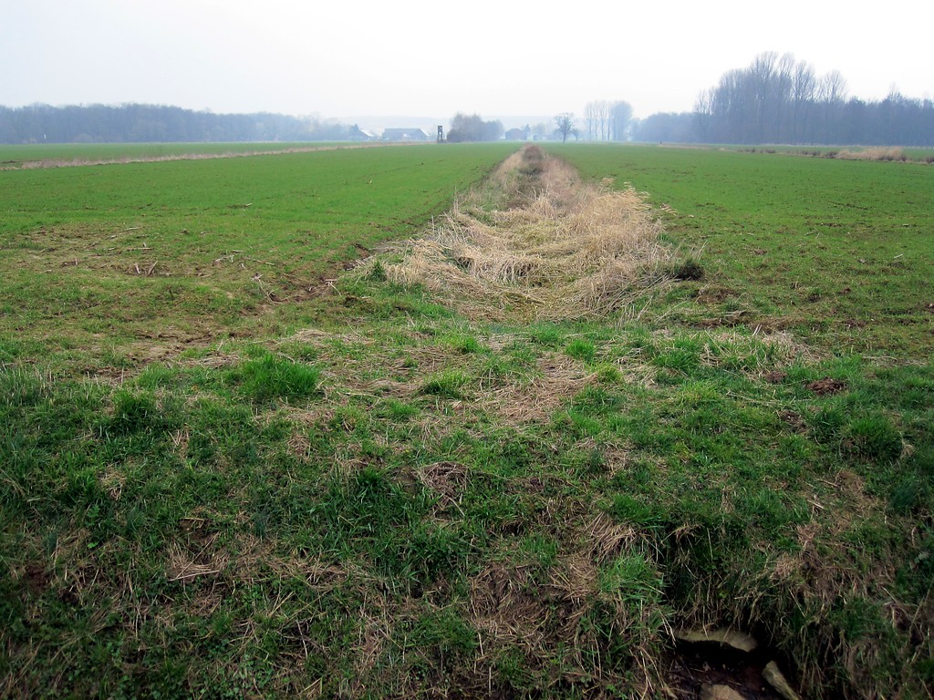 Nicht mehr gepflegter Entwässerungsgraben im zentralen Teil des Uedemerbruchs (2011)