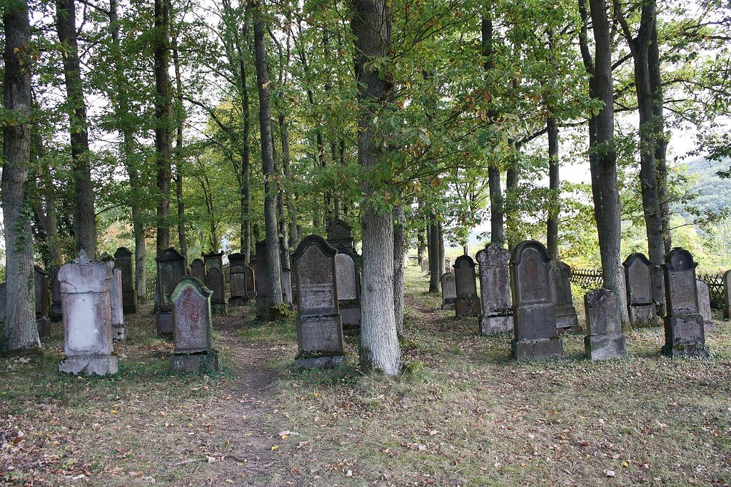 Ansicht des jüdischen Friedhofs auf dem Burgberg bei Beilstein (2012).