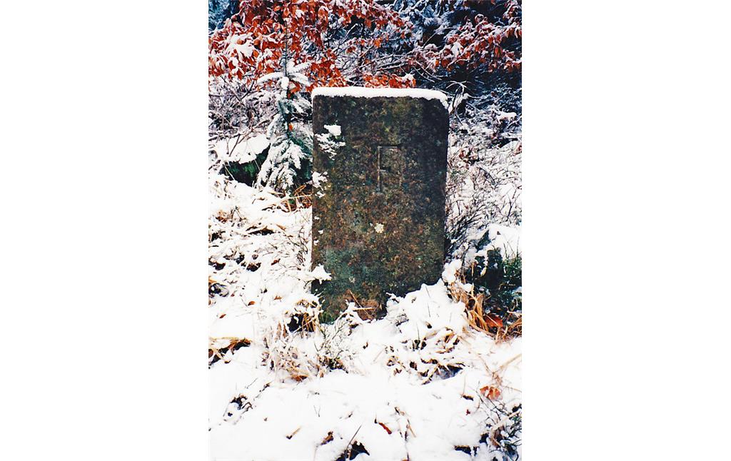 Das Foto zeigt einen der drei Grenzsteine auf die Ritterstein Nr. 85 "An Den Drei Steinen" hinweist. Auf der Westseite des Grenzstein ist ein F für Falkenburg/Frankenweide eingemeißelt (1997).