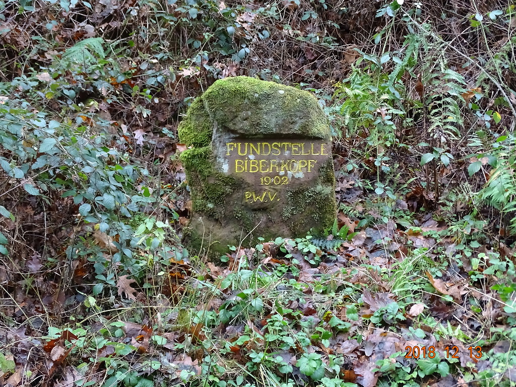 Ritterstein Nr. 17 "Fundstelle Biberkopf 1902" bei Niederschlettenbach (2018)